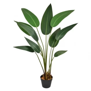 PL FOLHA STRELITZIA X10 REAL VERDE