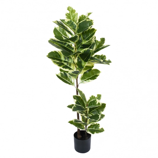 PL FOLHAS DE CARVALHO X2 VERDE BRANCO
