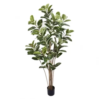 PL FOLHAS DE CARVALHO X8 VERDE BRANCO