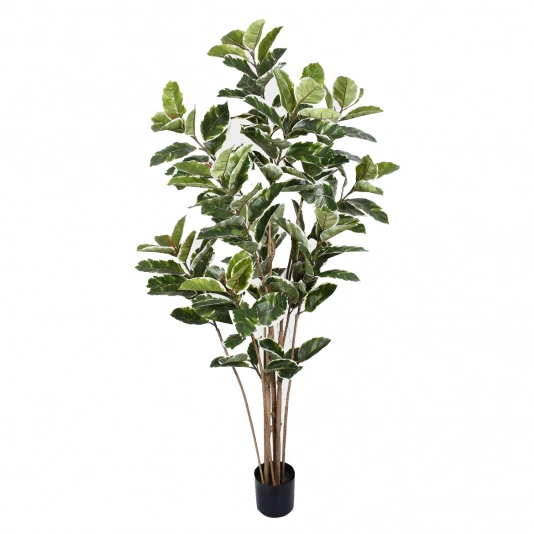 PL FOLHAS DE CARVALHO X8 VERDE BRANCO